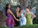 Vidia Silvermist Tinkerbell Disney Fairies