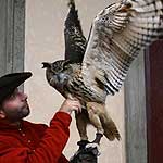 Falconieri